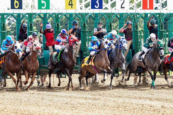 The Kentucky Derby 2026: Mystik Dan's Title Defense and the Three-Year-Old Class